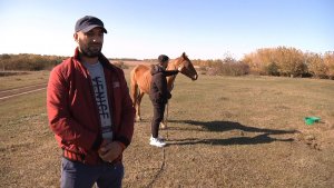 Осуждены двое конокрадов, совершивших кражу трех лошадей у фермера в Первомайском районе